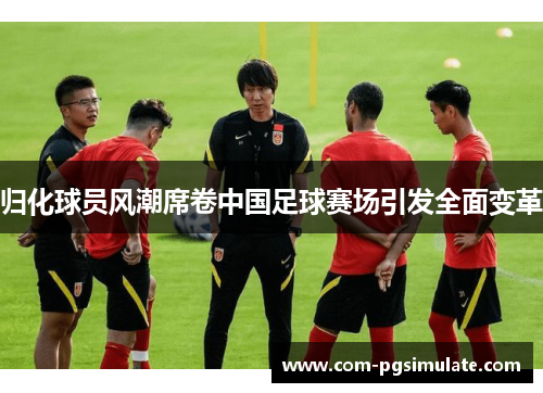 归化球员风潮席卷中国足球赛场引发全面变革